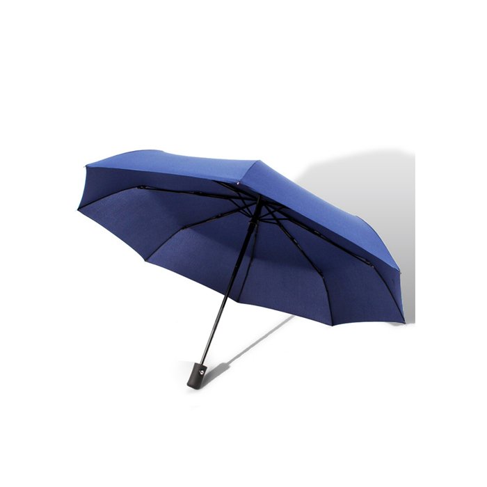 folding umbrella